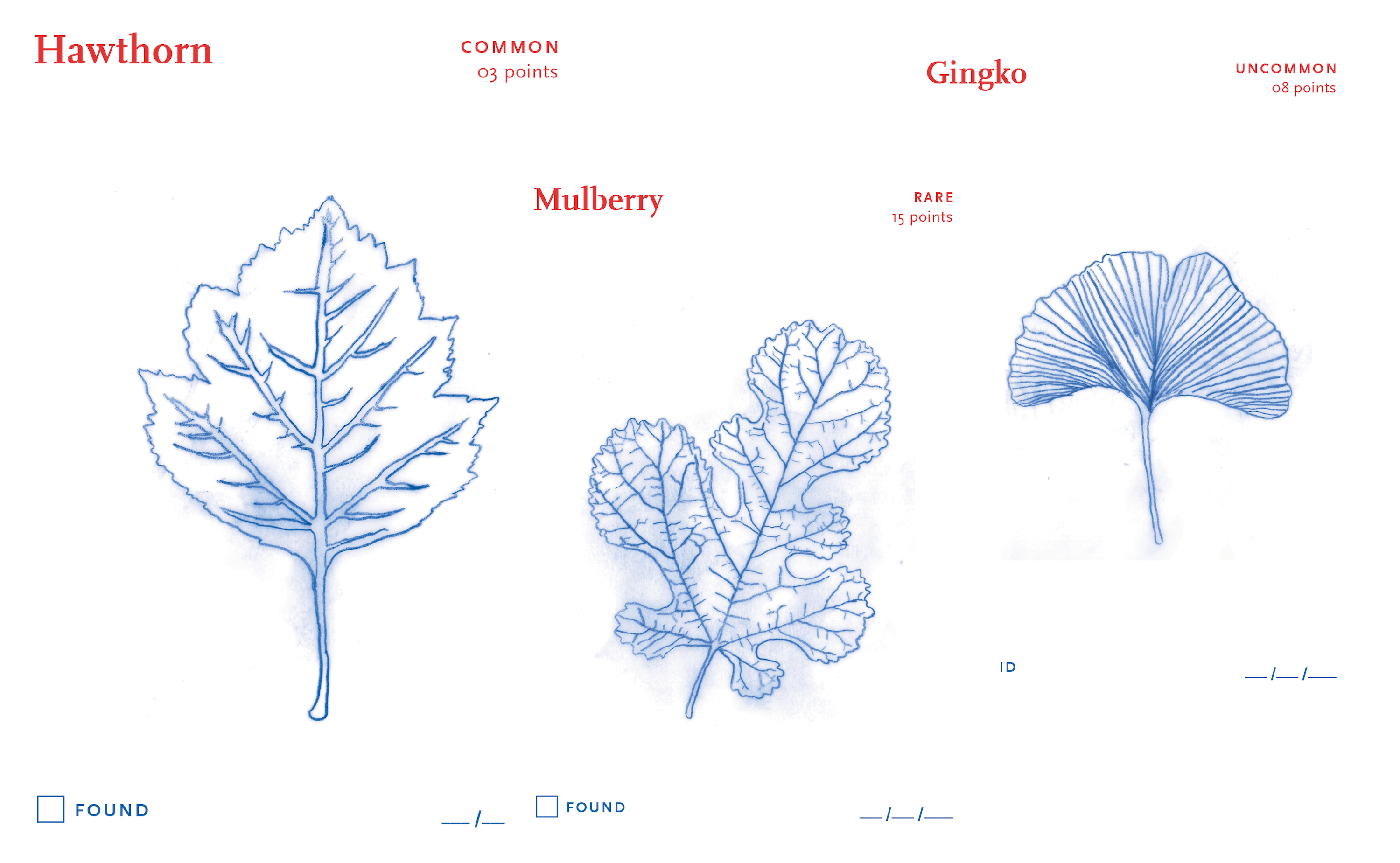 faavi interface scanning seeds in