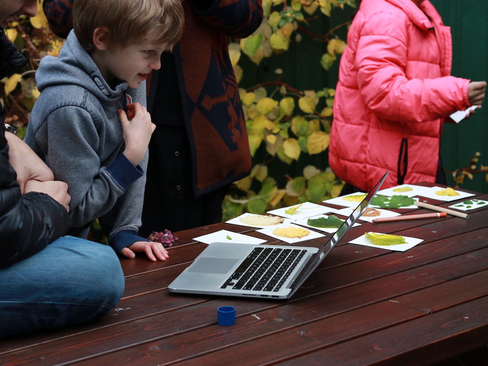 Image of child looking at computer