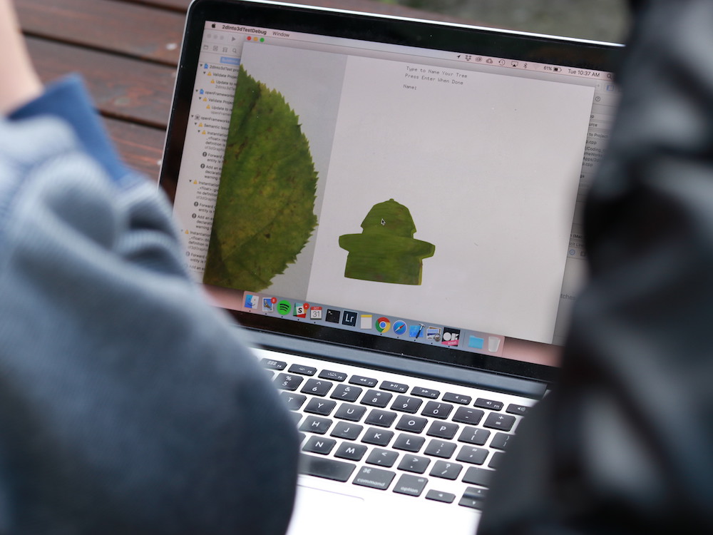 Close up of green tree leaf on computer over the shoulder of child.